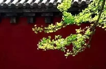 真正的修行，是遇见自己