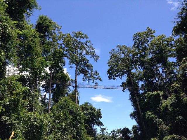 拒绝这件事,越简单越好 拒绝这件事,越简单越好