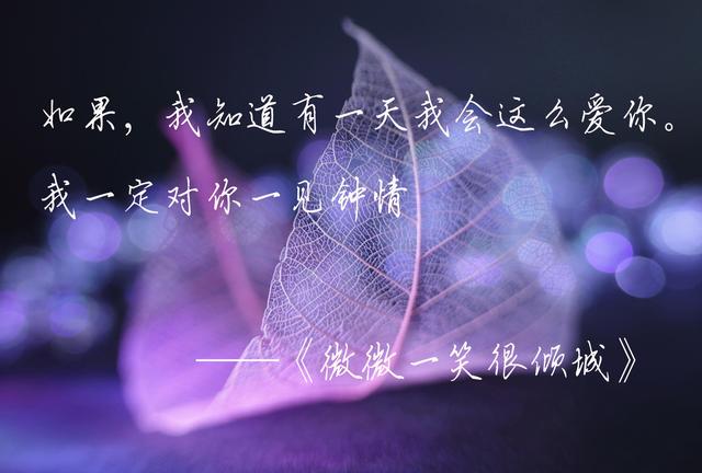 这城市总是风很大，孤独人总是晚回家