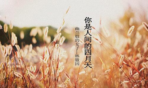林徽因《你是人间的四月天》十大经典语录