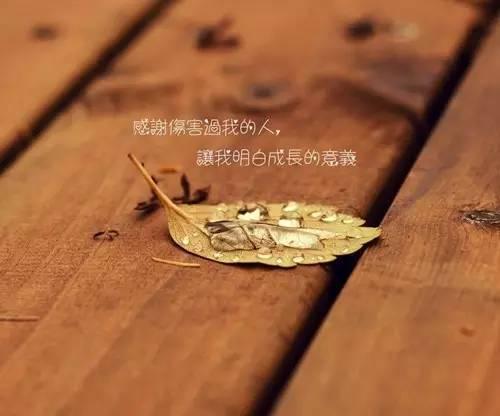 任何人都可以变得狠毒，只要你尝试过嫉妒