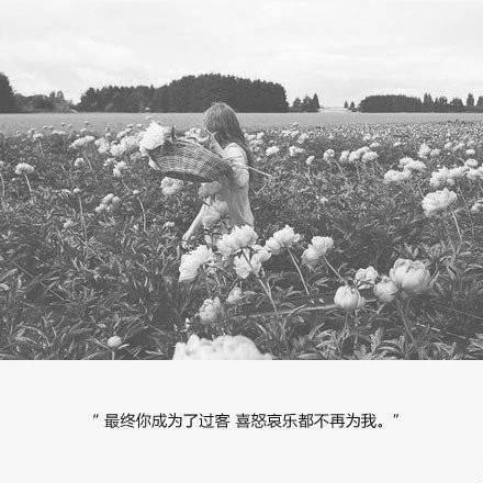 你改变不了事实,但可以改变态度 你改变不了事实,但可以改变态度