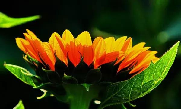 这段话,说进多少人心里 这段话,说进多少人心里