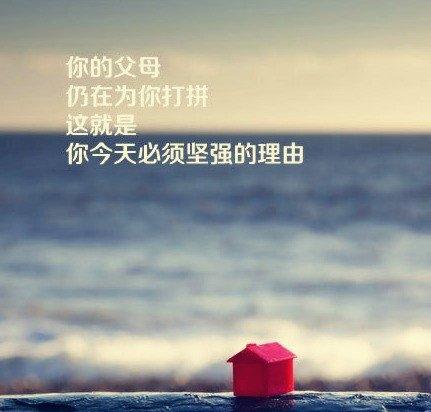 这世上，没有谁比谁活的容易