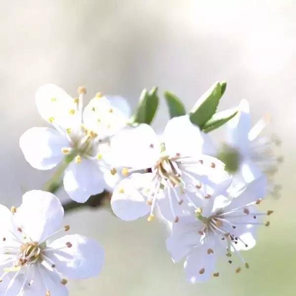 有爱无爱，安然对待。谁好谁坏，心里明白