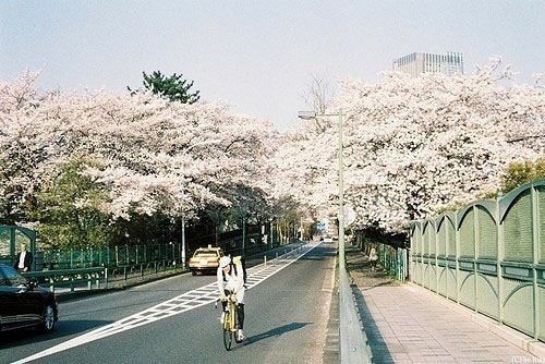 奔跑的时候才知道，年轻就是好