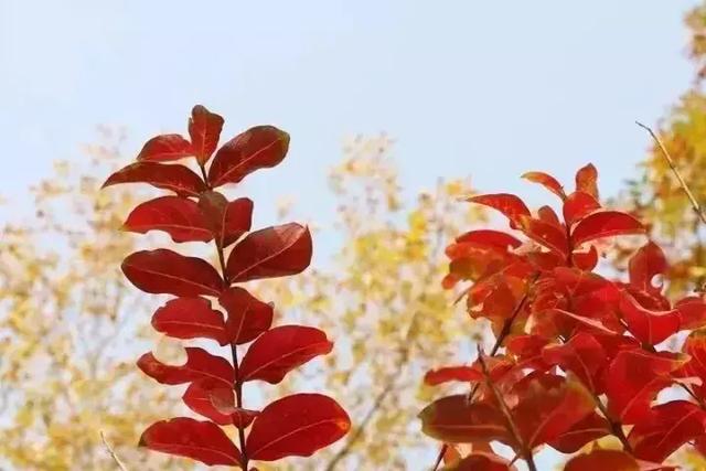 时间赠人阅历，世事尽可原谅