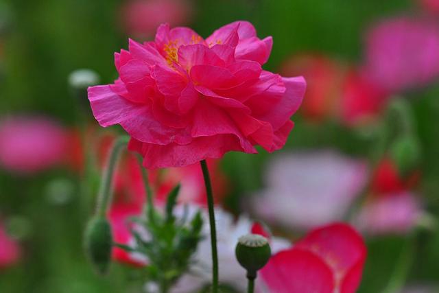 不想跌倒的最好办法