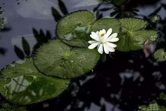 我会好好珍惜,真心和我相处的人