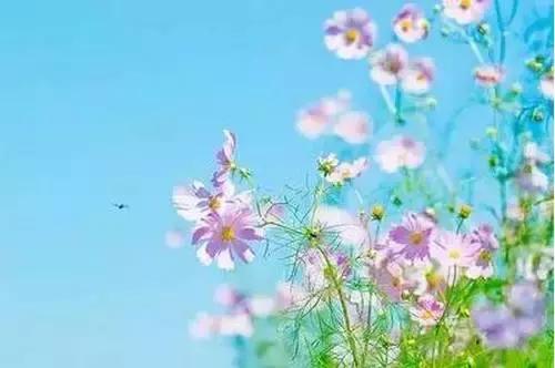 时 间(醉心文字) 时 间(醉心文字)