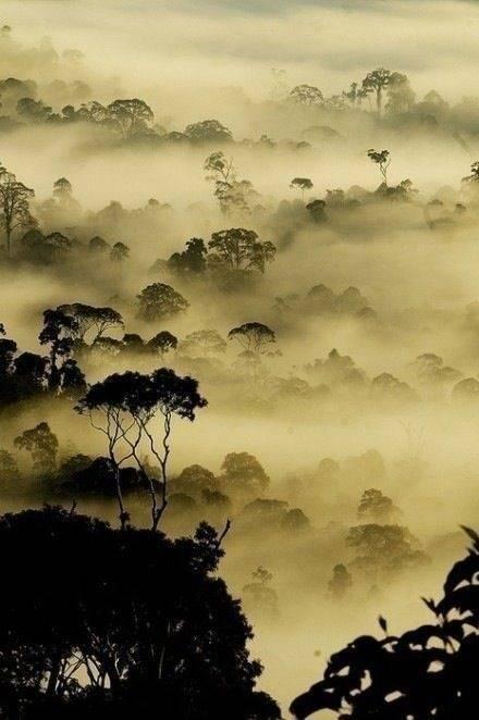 可不可以等等我，等我幡然醒悟