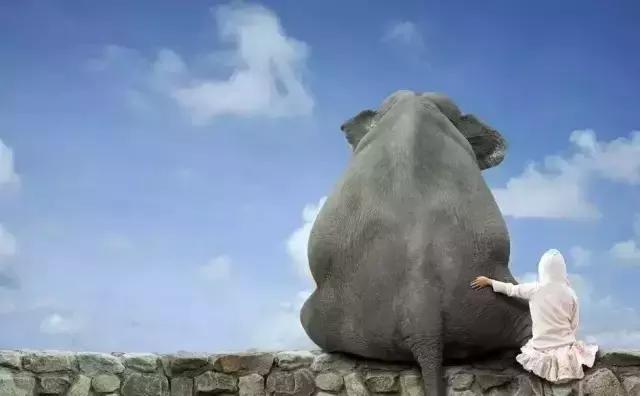 请善待别人的高度