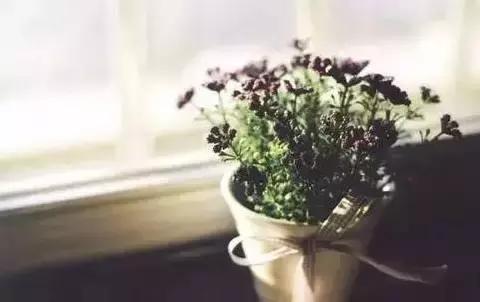 这露骨现实的人生感悟，戳中你了吗？