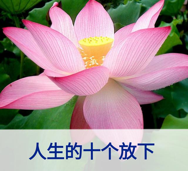 放下面子做人，但不可弯腰