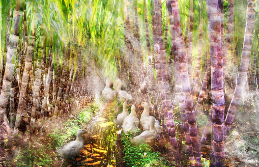 事不三思总有败 人能百忍自无忧 事不三思总有败 人能百忍自无忧