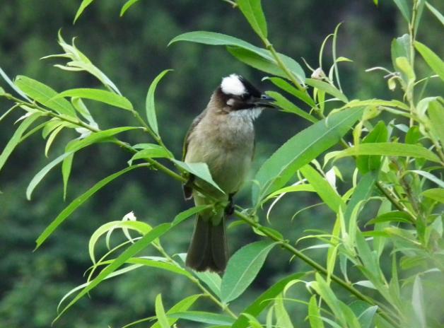 不高看有钱人,不小瞧穷人(精辟) 不高看有钱人,不小瞧穷人(精辟)