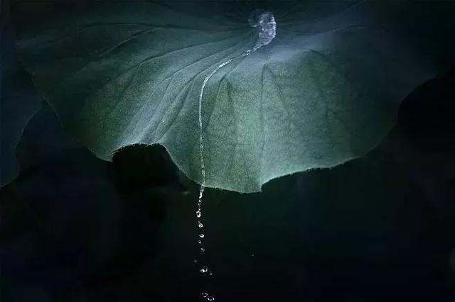 一念心清静，莲花处处开
