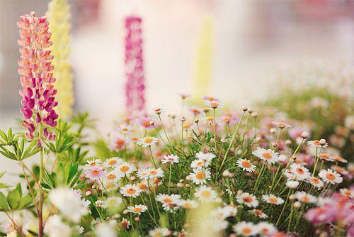 一些充满正能量的经典语录