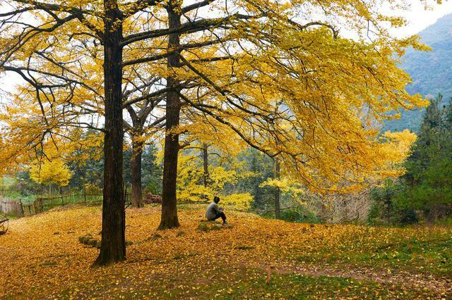 人生,不要想得那么多 人生,不要想得那么多