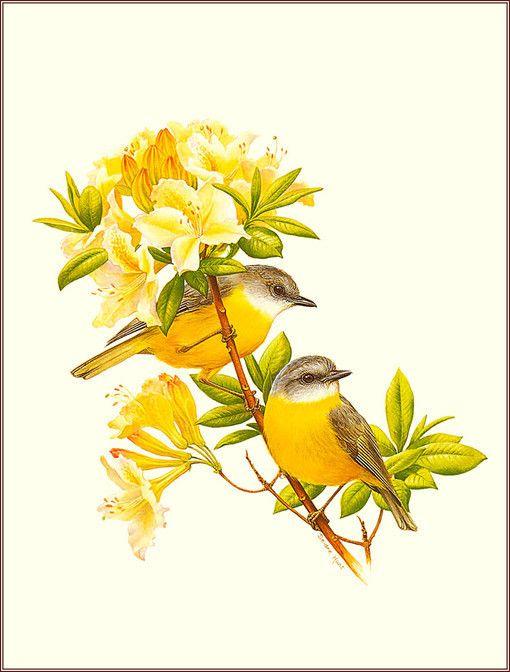 人生,看淡得与失,顺心无悔足矣 人生,看淡得与失,顺心无悔足矣