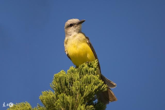 人生九悟,看完我也醒悟了 人生九悟,看完我也醒悟了