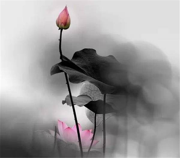 难死不要撒谎，穷死不要骗人