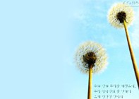 2013网络最新一期经典语录