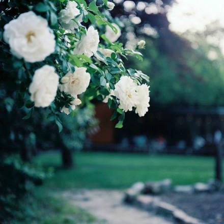 九句精选微信朋友圈语录