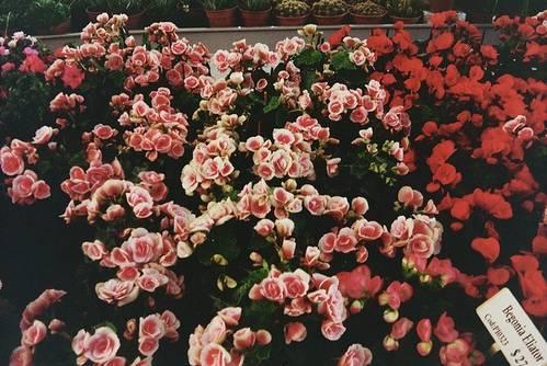 人啊,有钱,别得瑟;没钱,别堕落 人啊,有钱,别得瑟;没钱,别堕落