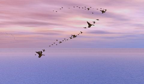 2017qq经典的一句话语录