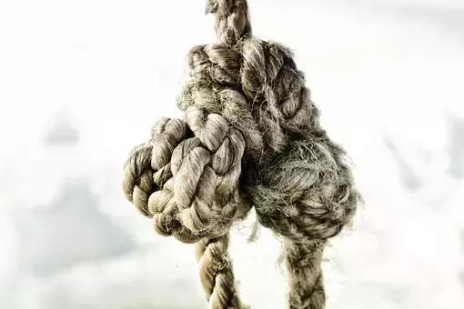 听不完的谎言，看不透的人心