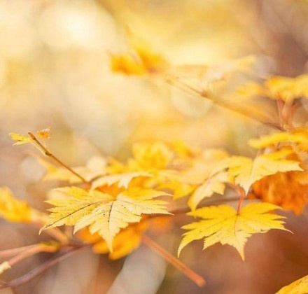 看得透想得开，拿得起放得下