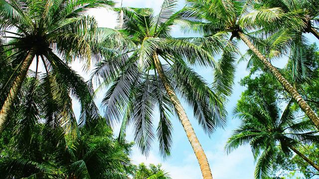 拒绝这件事,越简单越好 拒绝这件事,越简单越好