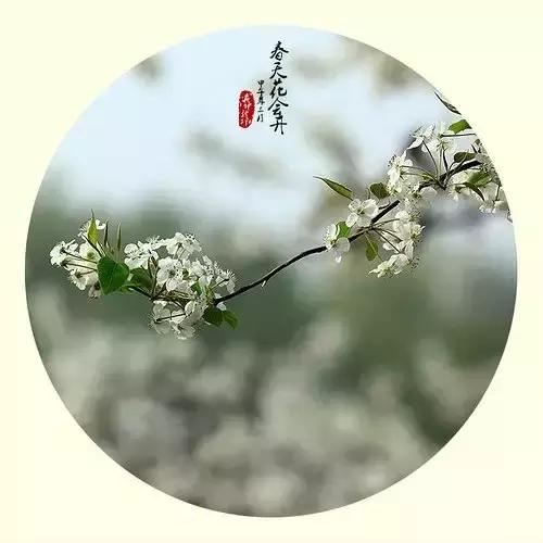 人，糊涂点挺好...