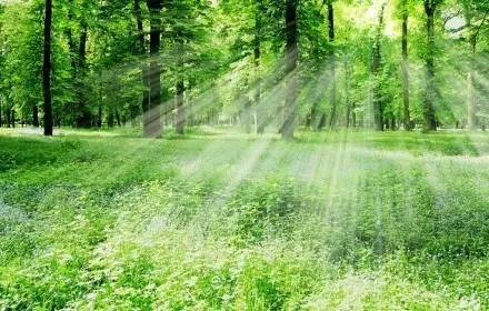 大度看人生，从容过日子