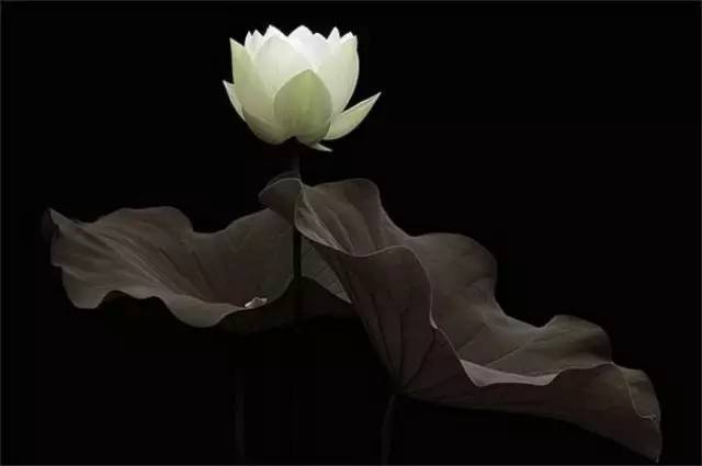 好茶，如故；好人，如初