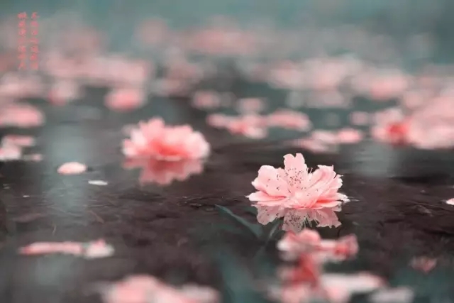 仓央嘉措：如果爱是一场修行