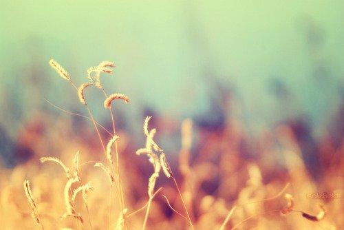 人生感悟:因为无能为力,所以顺其自然 人生感悟:因为无能为力,所以顺其自然