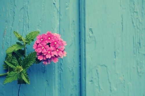 很美很美的沁人心扉的经典语录 很美很美的沁人心扉的经典语录