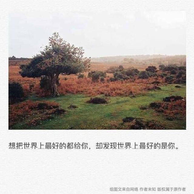 有些人不属于你，但遇见了也挺好