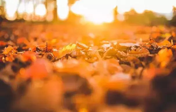 岁月,因情而丰盈 岁月,因情而丰盈