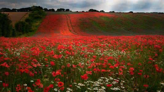 过去的事情不放，容易伤心