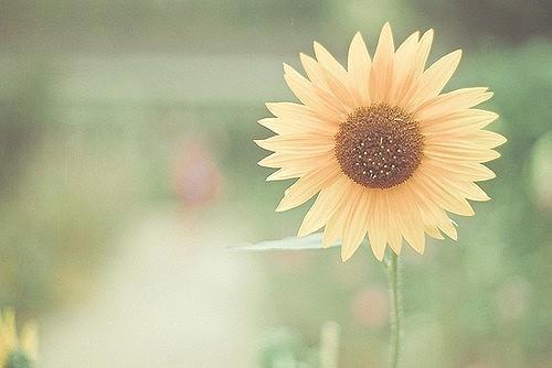 一句话最经典的人生哲理语录