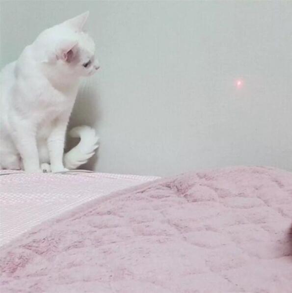 14句幸福人生语录