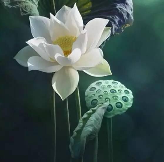 身安，不如心安