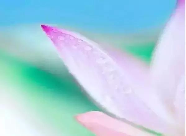 心好，命就好（太美了）