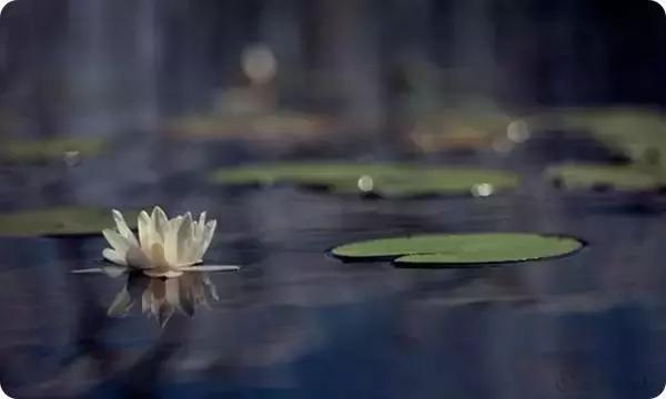 做人难不难，自己说了算