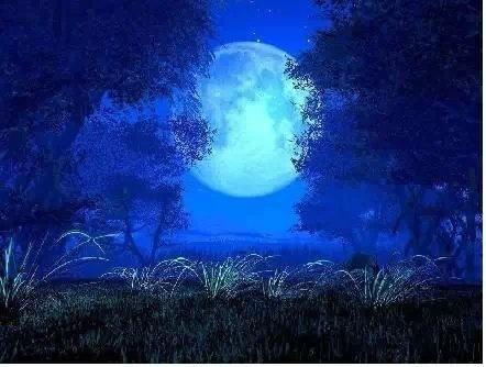 享受每一次挑战，你会变得更优秀