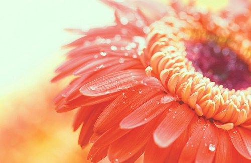 朋友圈最能治愈心灵的鸡汤语录 朋友圈最能治愈心灵的鸡汤语录