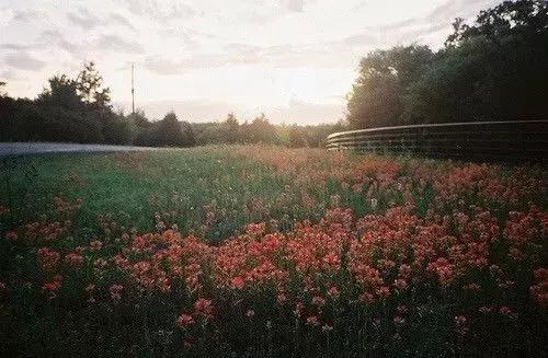 做人如水（写的真好）
